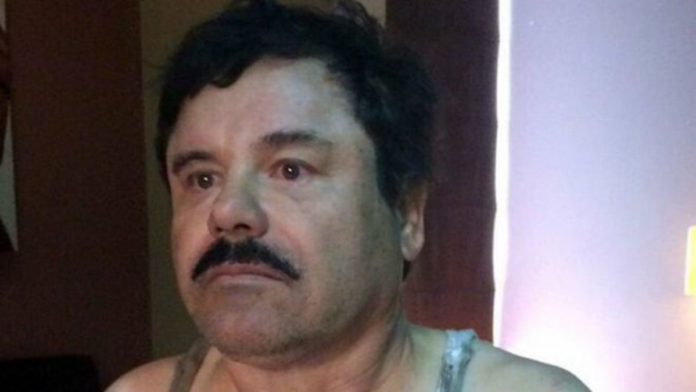 1462810775-160108235408mexicoguzman624x351afpnocredit