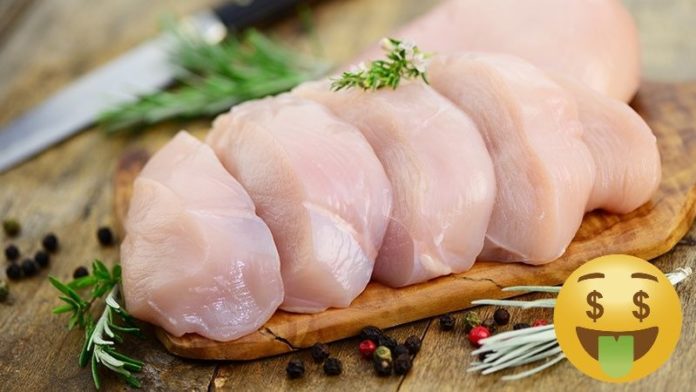 pollo